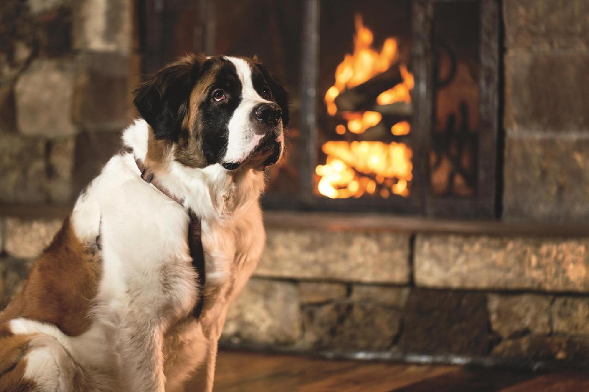 The Ritz-Carlton, Bachelor Gulch Hotel Beaver Creek Eksteriør billede
